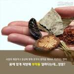 [카드뉴스] 사고 잦은데...성분 정보 깜깜한 한약 먹어도 괜찮을까?