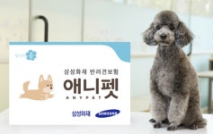 [뉴스 & 굿즈] 상품성 개선으로 부활한 펫보험...보장은 제각각