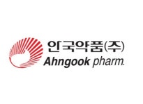 안국약품 작년 매출 6년 전 수준 뒷걸음질...영업익은 상장 후 최저