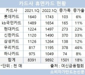 휴면카드 1000만 장 돌파 눈앞...롯데카드 174만여 장 가장 많아