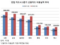 빅4 카드사 시장점유율 갈수록 상승...신한·삼성카드 1위자리 각축, 현대카드 약진 