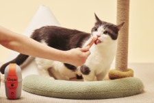 동아제약, 반려동물 전문 브랜드 벳플 론칭...강아지·고양이 맞춤 헬스케어
