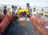 서산시, 천수만 바다목장 조성 등 23개 사업에 106억원 투입