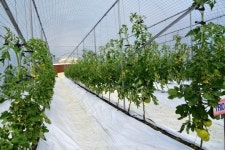 충주시, 에어그린하우스 특허 등록