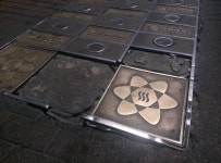 궁동 로데오거리 관리실태 어떻길래