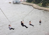 보령 관광지 모처럼 활기 33만명 다녀가 지역상인 특수