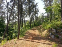 서산버드랜드 숲-체험프로그램 운영