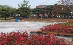 서산시청 앞 솔밭쉼터 시민공간으로 탈바꿈