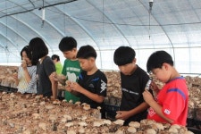 자연 속에서 뛰놀며 관찰·집중력 키워요