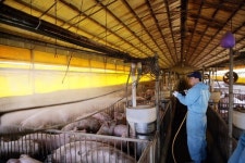 공공의 과제 해결 의지 열쇠