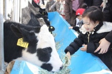 대전 서대전공원서 도심 속 목장나들이