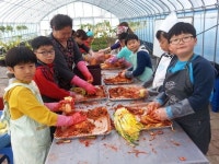 서천 마동초 김장김치 나누기 봉사