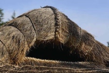 [한국의 문화유산] 까치구멍집