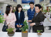 보령시청서 24일까지 야생화 전시회