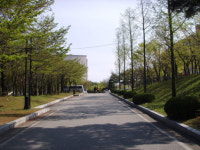 274. 더 아플 때까지 버텨 보고 대학생 병원 기피 이유는