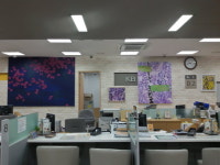 국민은행 신관동지점 봄 in KB 전시회