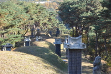 이사동 은진송씨 묘역 국가문화재 지정 여론