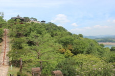 푸르름속 유물들 눈길 제천 청풍문화재단지