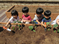 그림책 읽고 텃밭 가꾸니 감성·창의력 절로 쑥쑥