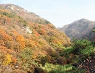 논산 수락계곡 버스노선 연장해야