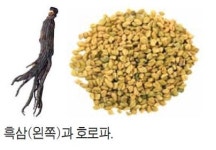 남성갱년기, 흑삼·호로파가 명약