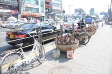 ‘불법주차 자전거’ 대전역 점령… 거치대 설치 시급