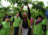청주시 내덕2동 농촌봉사활동