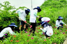 군산간호대, 당진서 농촌사랑 봉사활동