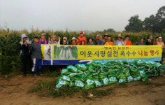 음성군 삼성면 주민자치위원회, 사랑나눔 옥수수 수확