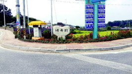 가을 마중 나왔나… 음성 내곡리 오색 꽃천지