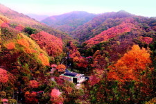 민주지산 첩첩 골짜기 붉은 치마