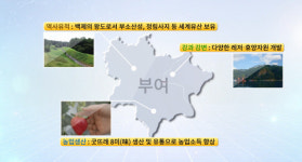 부여군, 지속발전가능한 부여비전 2030 선포식 개최