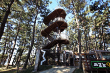 궁금하지 않나요 푸른바다의 전설이