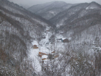 영동 민주지산 자연휴양림...이용객 매년 증가