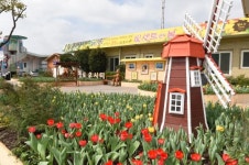 황룡강 물길따라 노오랗게 봄이 온다