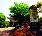 옥천 가볼만 한 곳 벗 꽃길 30리와 향토전시관