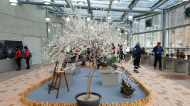 제2회 괴산 미선향 축제 뜨거운 열기 속에 마무리