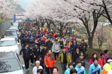 금산보곡산골 산꽃술래길 걷기명소 부상