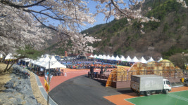 금산 산꽃벚꽃마을 오토캠핑장 준공
