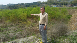 탑정호 둑 높이기 사업 후 농지 습지 변해 환경 열악 주민 분통