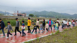 천안광덕초, 교실 밖 신록 가득한 행복 산책