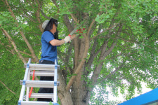 금산교육지원청, 전직원 참여 봉사활동 실시
