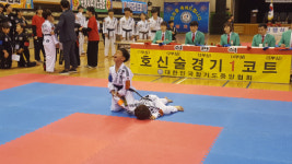 국무총리기 전국생활체육 합기도 대회 청양서 개최