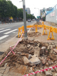 동구 원·인동 일대 가로수 제거 놓고 시민 입장 엇갈려