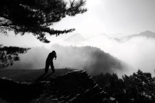 단양 온달평강로맨스길이 주목