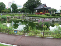 음성군 관리 경호정 연못 녹조현상 주민 외면