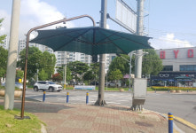 보령시, 도심 속 교차로 무더위 피하는 파라솔 설치