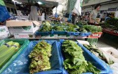 [포토] 채소가격 고공행진 진열 상품도 적어