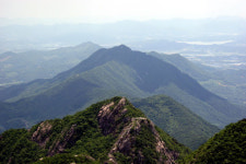 난항 겪던 향적산 치유의 숲 용역비 확보 본격 추진
