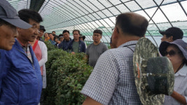 청양구기자 신품종 화수 최고 상품 등극